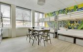 Туры в отель Dutchies Hostel