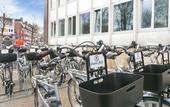 Туры в отель Dutchies Hostel