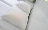 Туры в отель Hotel 't Witte Huys