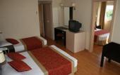 Туры в отель New Garden Resort