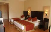 Туры в отель New Garden Resort