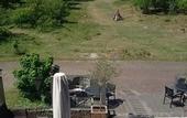 Туры в отель Landgoed Huize Glory