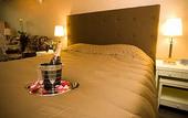 Туры в отель Hotel Johannes Vermeer