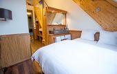 Туры в отель Alpine Hotel by SnowWorld