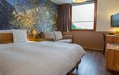 Туры в отель Alpine Hotel by SnowWorld