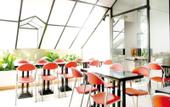 Туры в отель New Hotel Saint Charles