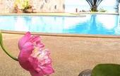 Туры в отель Adarin Beach Resort