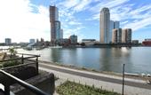 Туры в отель Bed Bites & Business Hotel Rotterdam