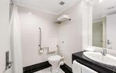 Туры в отель Carnmore Hotel Lower Hutt