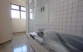 Туры в отель Champers Motor Inn