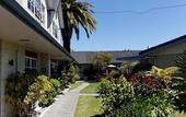 Туры в отель ASURE Colonial Lodge Motel