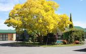 Туры в отель Commodore Court Motel