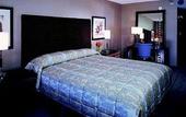 Туры в отель New York New York Hotel and Casino