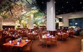 Туры в отель New York New York Hotel and Casino