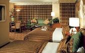 Туры в отель New York New York Hotel and Casino