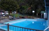 Туры в отель Flamingo Motel