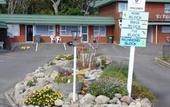 Туры в отель Flamingo Motel