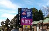 Туры в отель Flamingo Motel