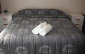 Туры в отель Flamingo Motel