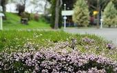 Туры в отель Blenheim Bridges Holiday Park