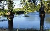 Туры в отель Blenheim Bridges Holiday Park