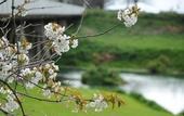 Туры в отель Blenheim Bridges Holiday Park