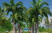 Туры в отель Nexus Golf Resort Karambunai