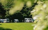 Туры в отель Capital Lodge Motor Inn
