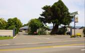 Туры в отель Grove Park Motor Lodge