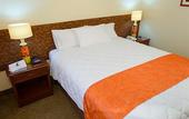 Туры в отель Faraona Grand Hotel