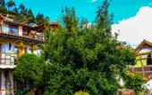 Туры в отель Lodge Casa De Campo Valle Sagrado - Urubamba