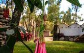 Туры в отель Lodge Casa De Campo Valle Sagrado - Urubamba