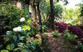 Туры в отель Lodge Casa De Campo Valle Sagrado - Urubamba