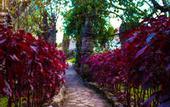 Туры в отель Lodge Casa De Campo Valle Sagrado - Urubamba