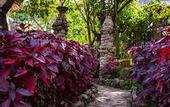 Туры в отель Lodge Casa De Campo Valle Sagrado - Urubamba