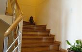 Туры в отель Florida del Inca Hotel
