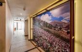Туры в отель Arawi Miraflores Express