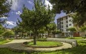 Туры в отель Muru Homely Hotel