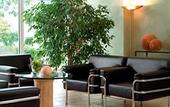 Туры в отель NH Goettingen