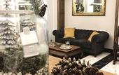 Туры в отель Hotel Grottger Boutique Hotel