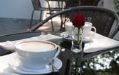Туры в отель Hotel Grottger Boutique Hotel