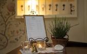 Туры в отель Villa Estera - Hotel & Restauracja