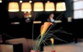 Туры в отель NH Hotel Geneva Airport