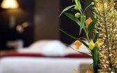 Туры в отель NH Hotel Geneva Airport