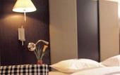 Туры в отель NH Hotel Geneva Airport