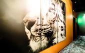 Туры в отель NYX Hotel Warsaw by Leonardo Hotels