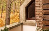 Туры в отель FOREST HOTEL