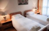 Туры в отель FOREST HOTEL