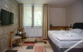 Туры в отель FOREST HOTEL