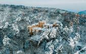 Туры в отель FOREST HOTEL